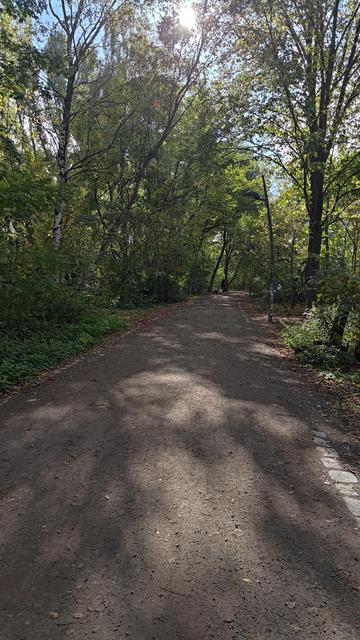 trees over dirt path in central Berlin